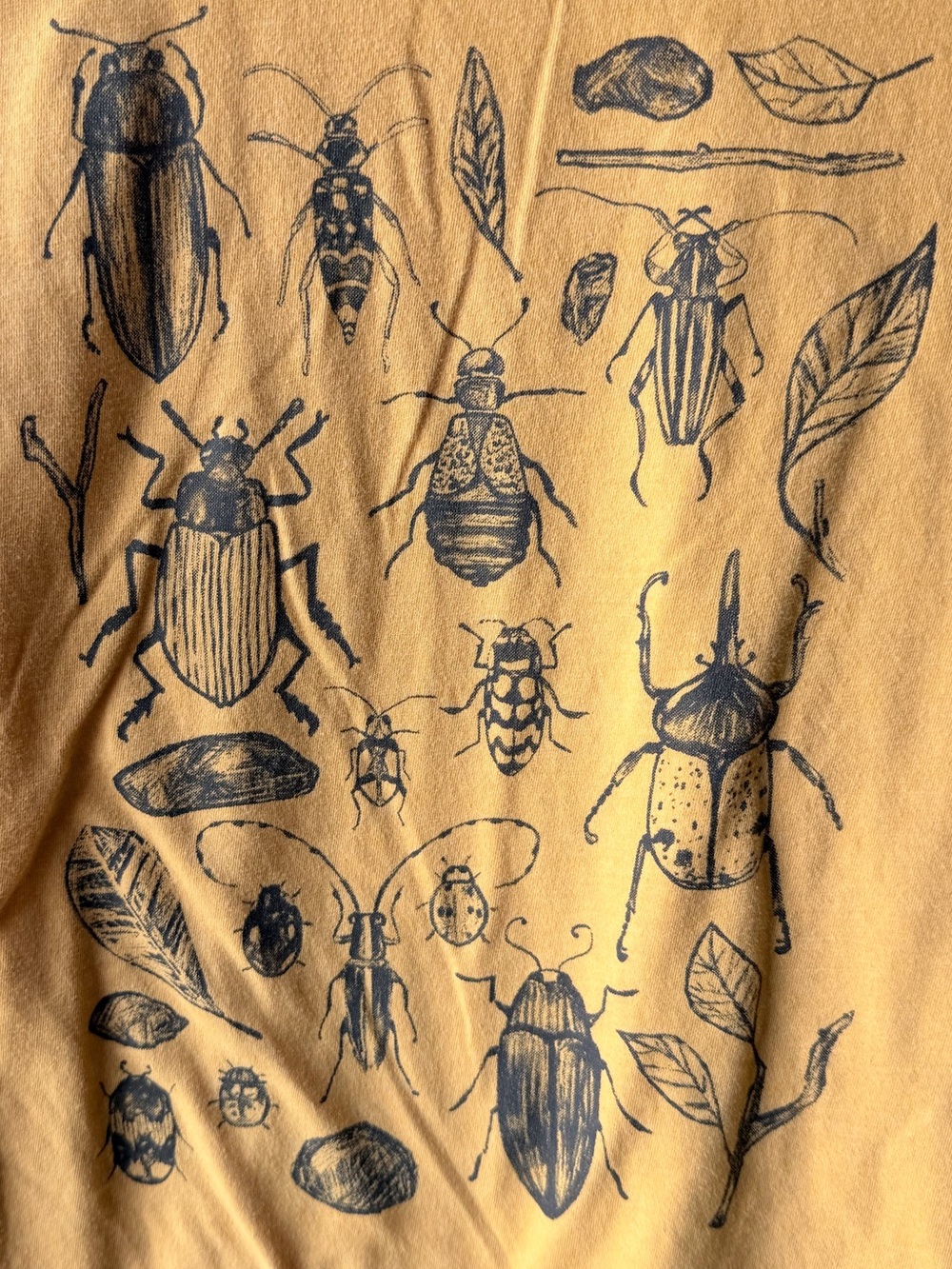 Cat & Jack Mustard Bug Graphic Long Sleeve Tee Boys Medium (8) Insect Nature